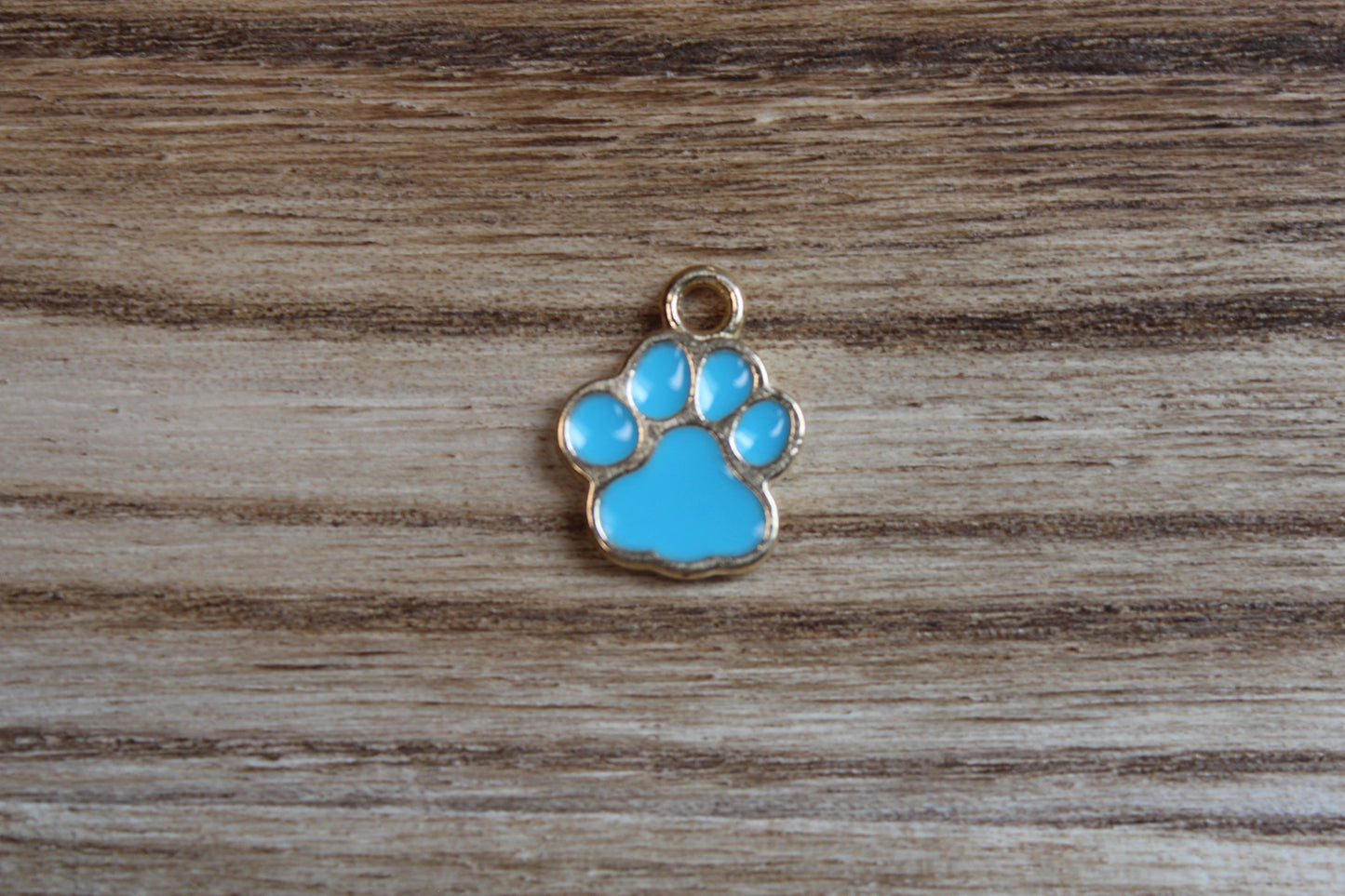 Turquoise Dog Paw Charm